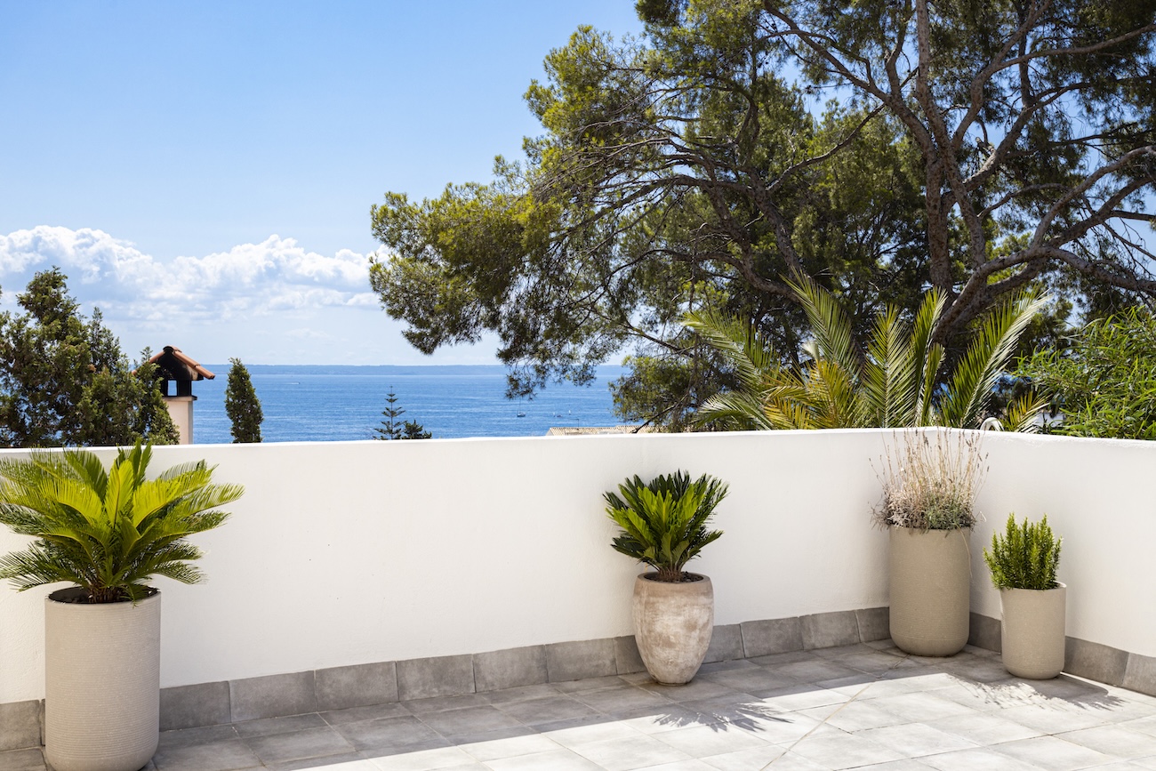 View property
