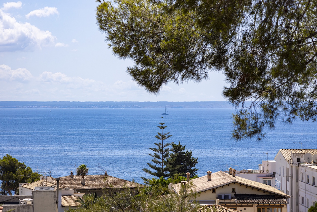 View property