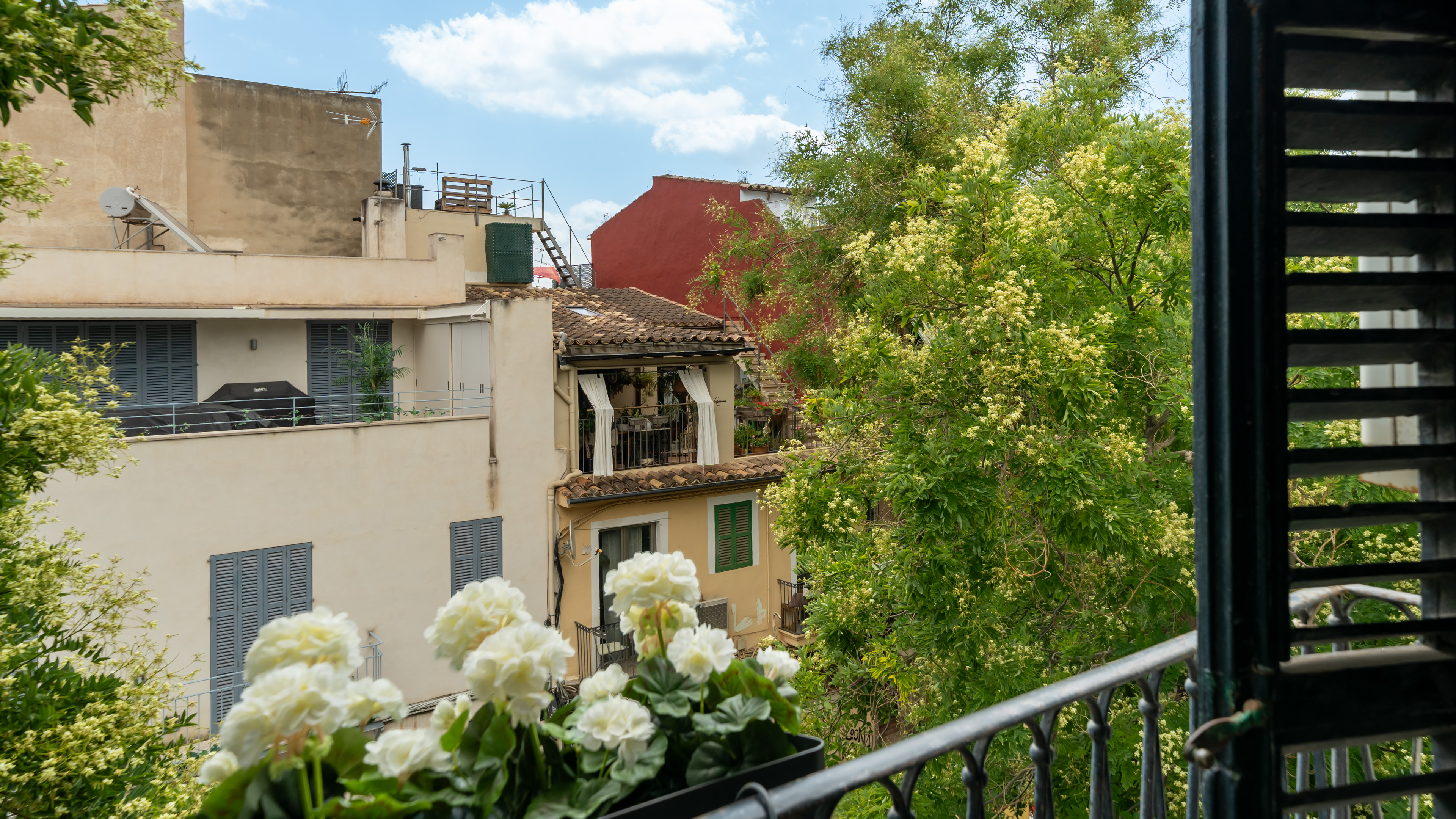 View property