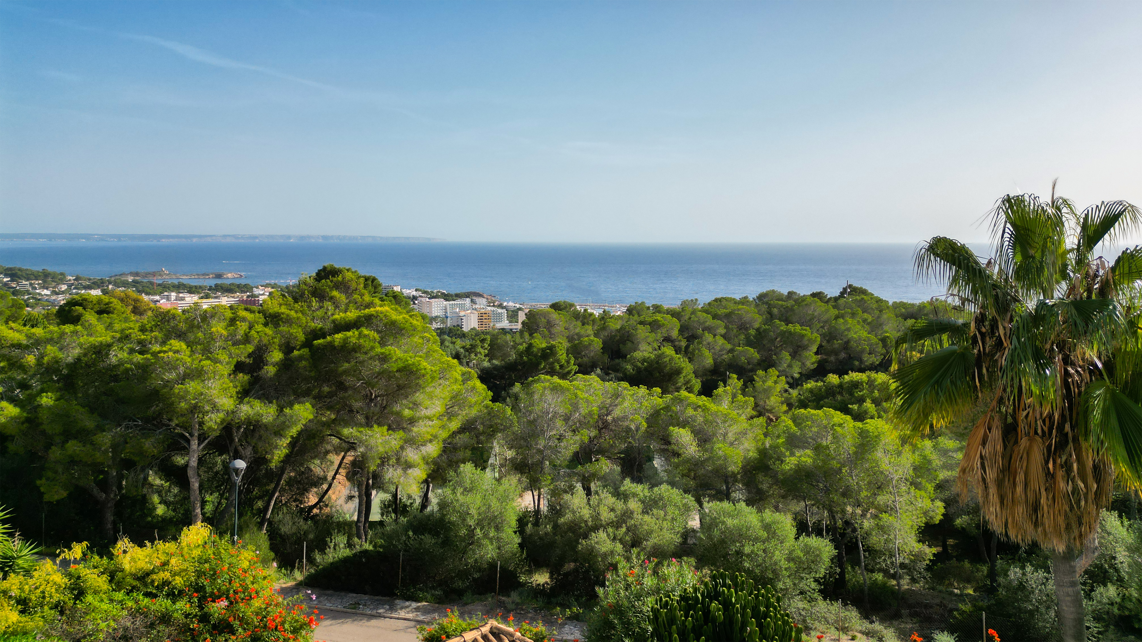 View property