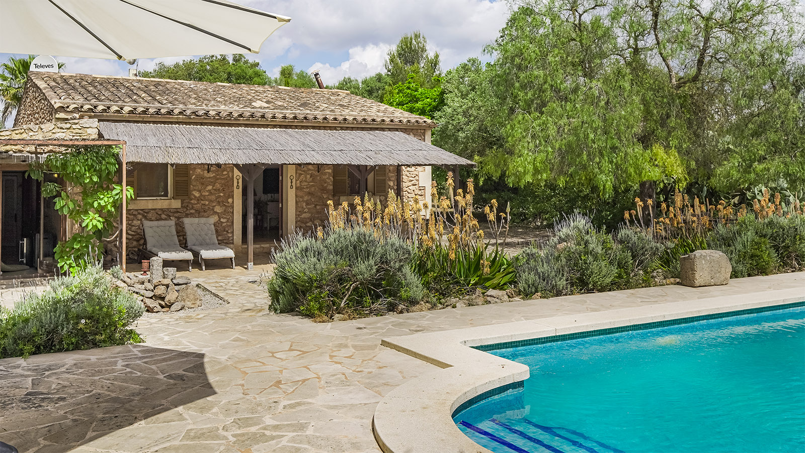 View property