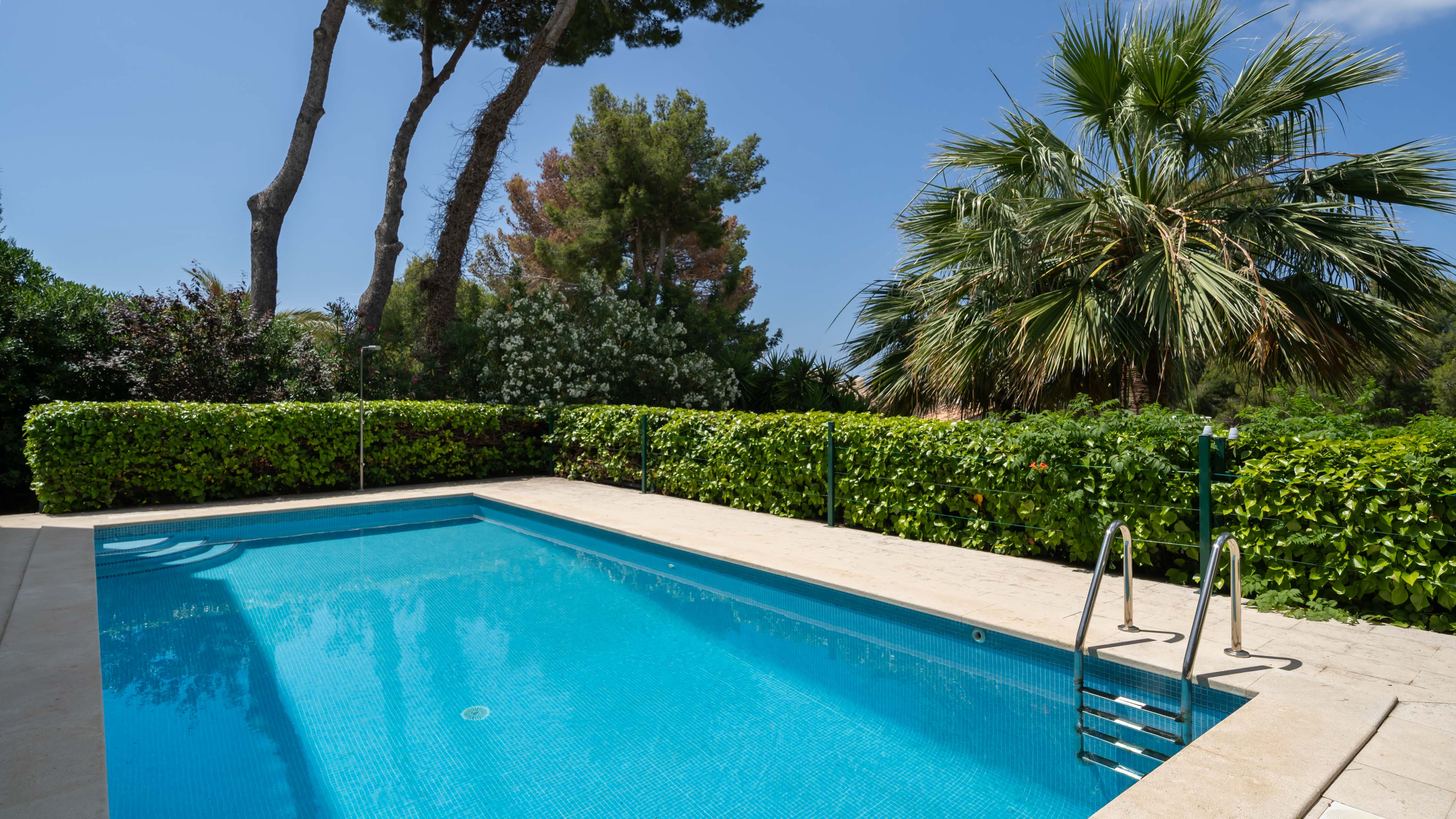 View property