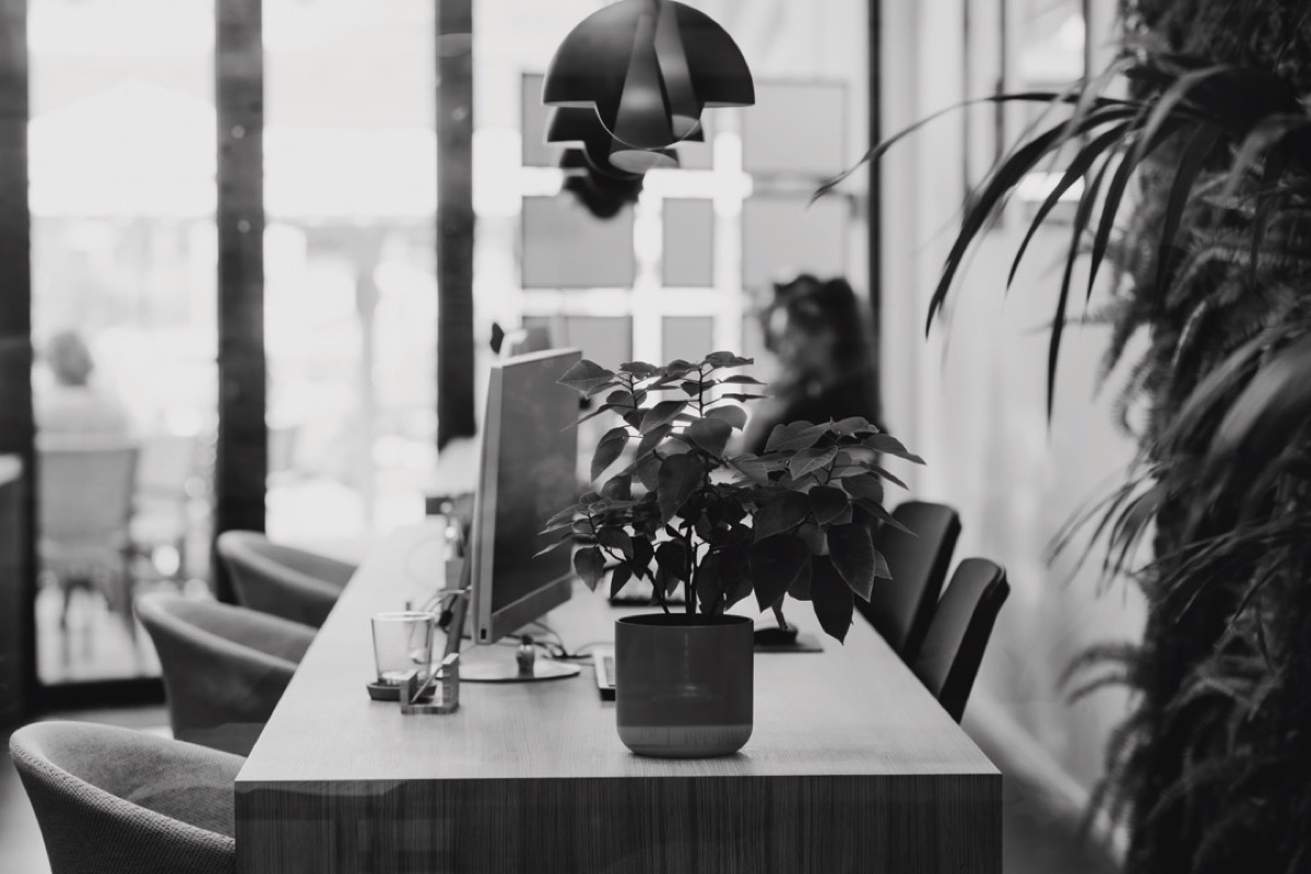 Elegir Sandberg Estates significa elegir un equipo de profesionales dedicados que dan prioridad a sus necesidades, ofrecen un apoyo integral y ofrecen resultados excepcionales. Póngase en contacto con nosotros hoy mismo para obtener más información sobre nuestros servicios y cómo podemos ayudarle a alcanzar sus objetivos inmobiliarios. 