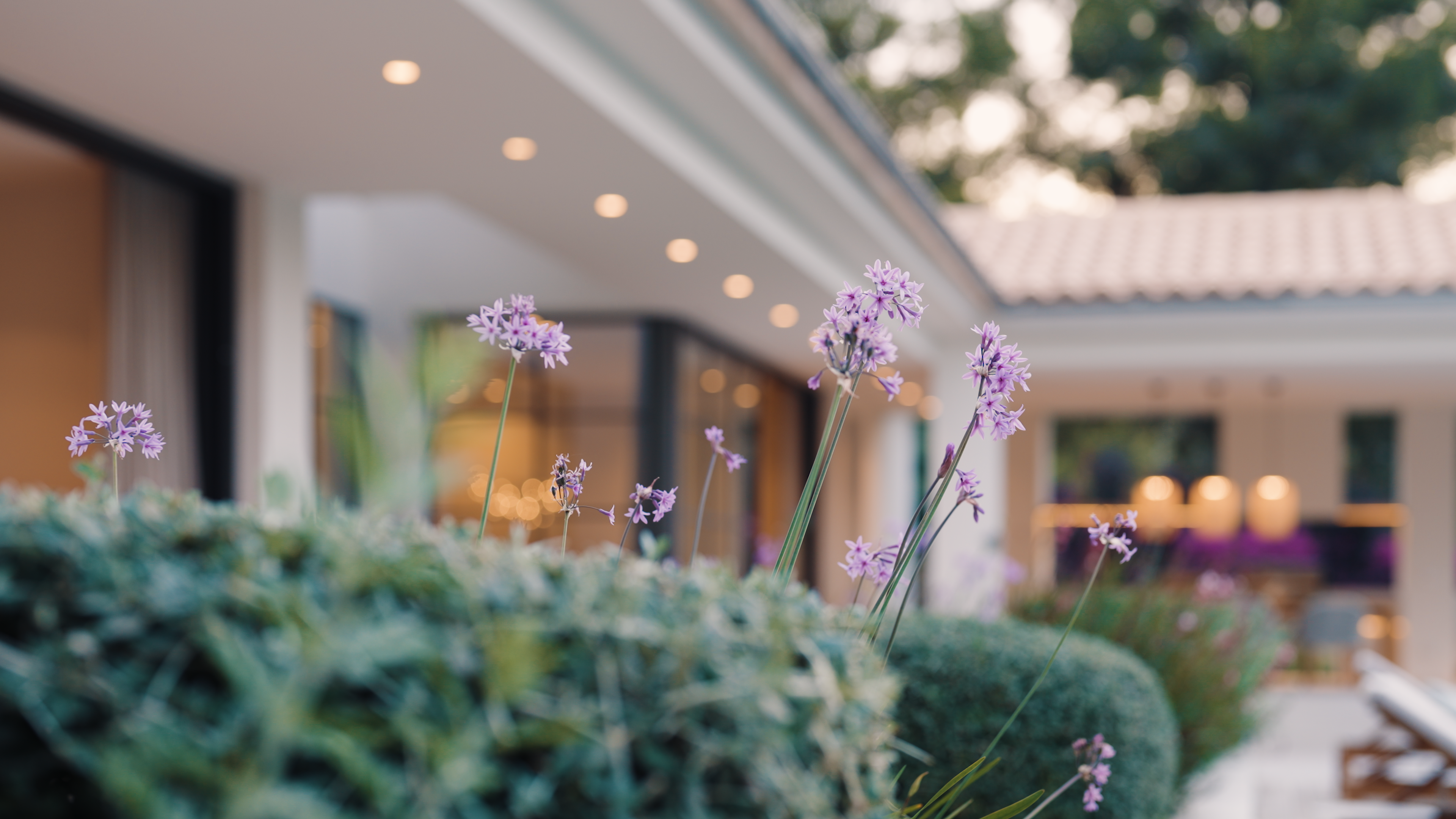 En Sandberg Estates somos expertos en la compra y venta de propiedades en las zonas más exclusivas de Mallorca. 